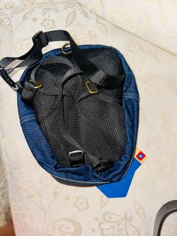 Backpacking for dog