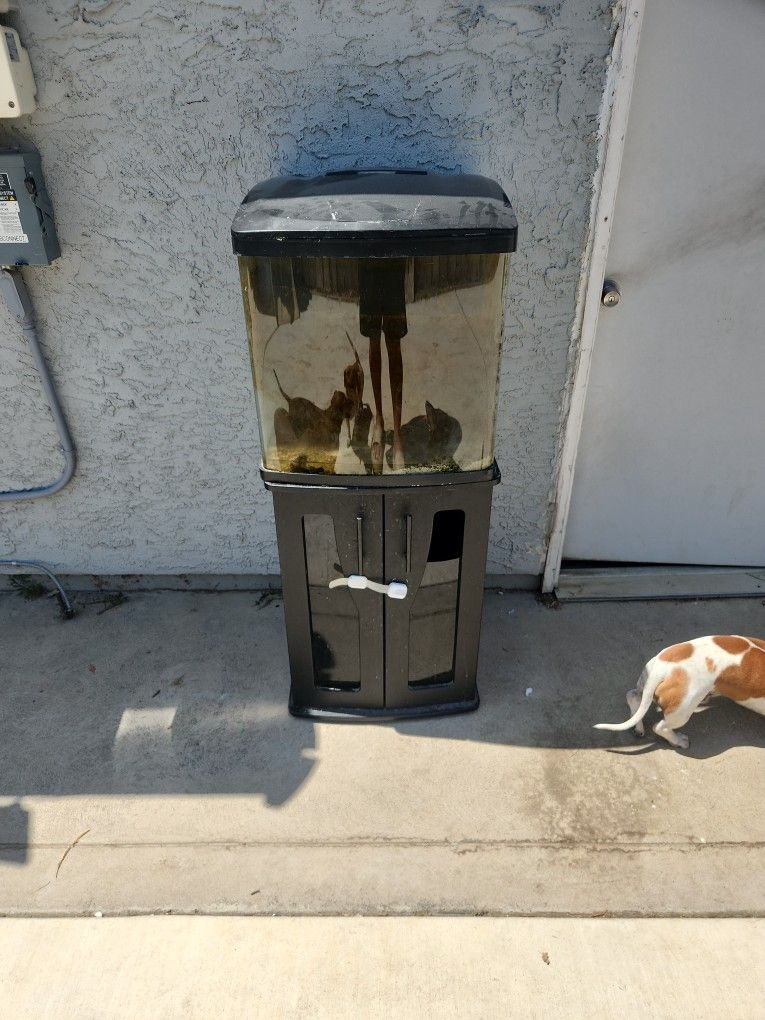 it's 32 gallon fish tank good condition the stand only has a window broken