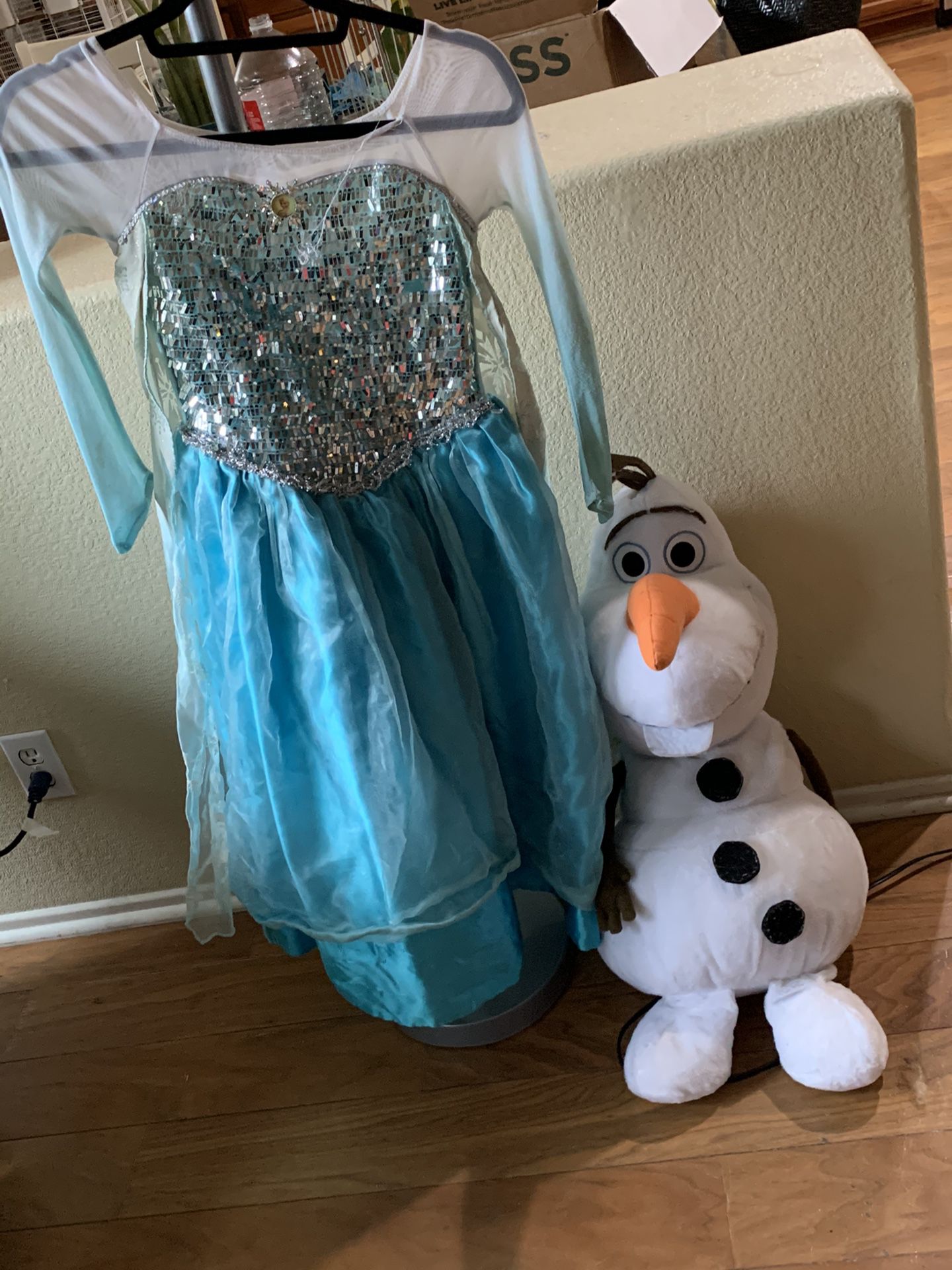 Elsa dress and Olaf
