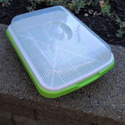 Micro Green Planting Kit