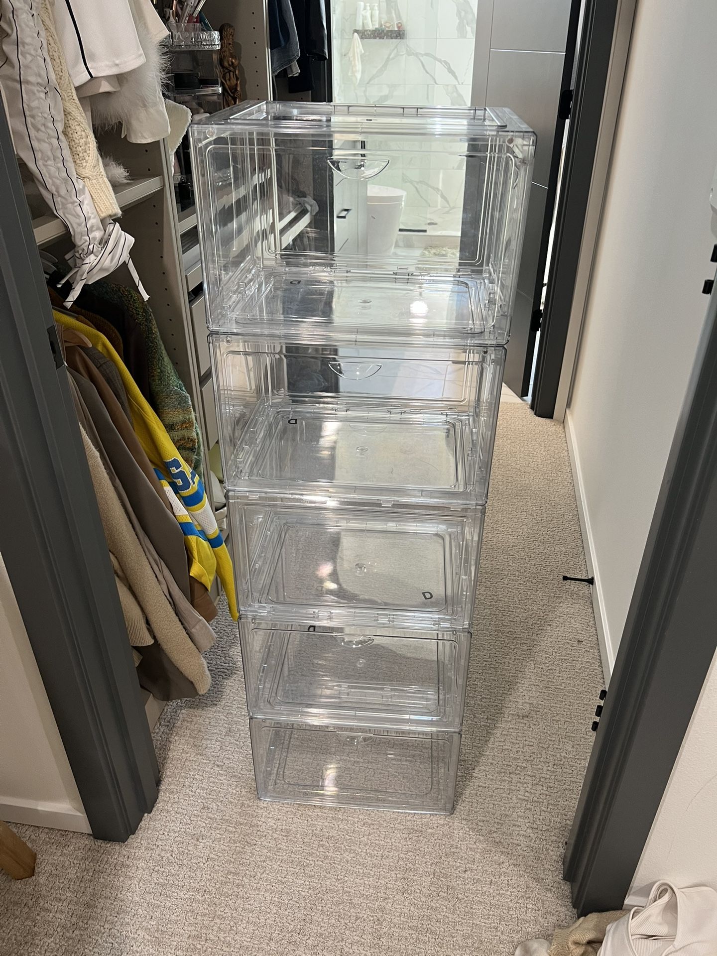 Hard Shoe Box/storage Container