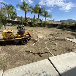 Stump Grinding