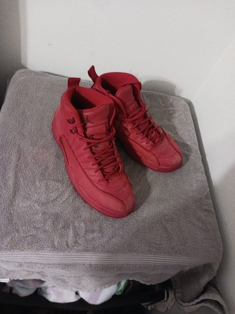Jordan 12 Mens Size 10