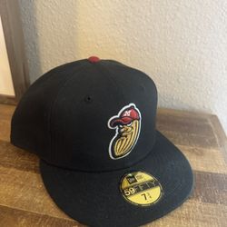 Modesto Nuts Fitted Hat