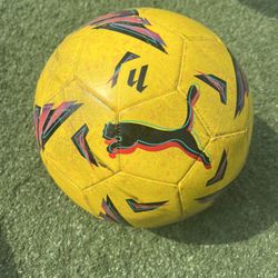 Soccer Balls