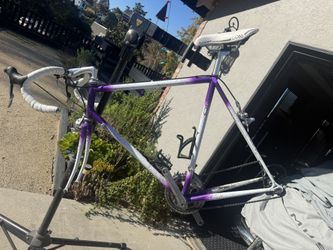 Schwinn Paramount