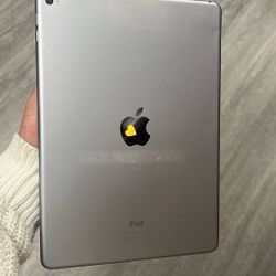 iPad Air 2 16GB Wi-Fi Only 