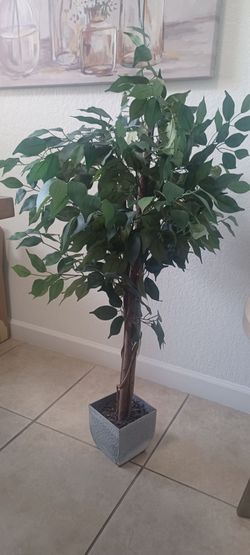 Ficus artificialmente con hojas verdes de aspecto realista, tronco trenzado 4 pies