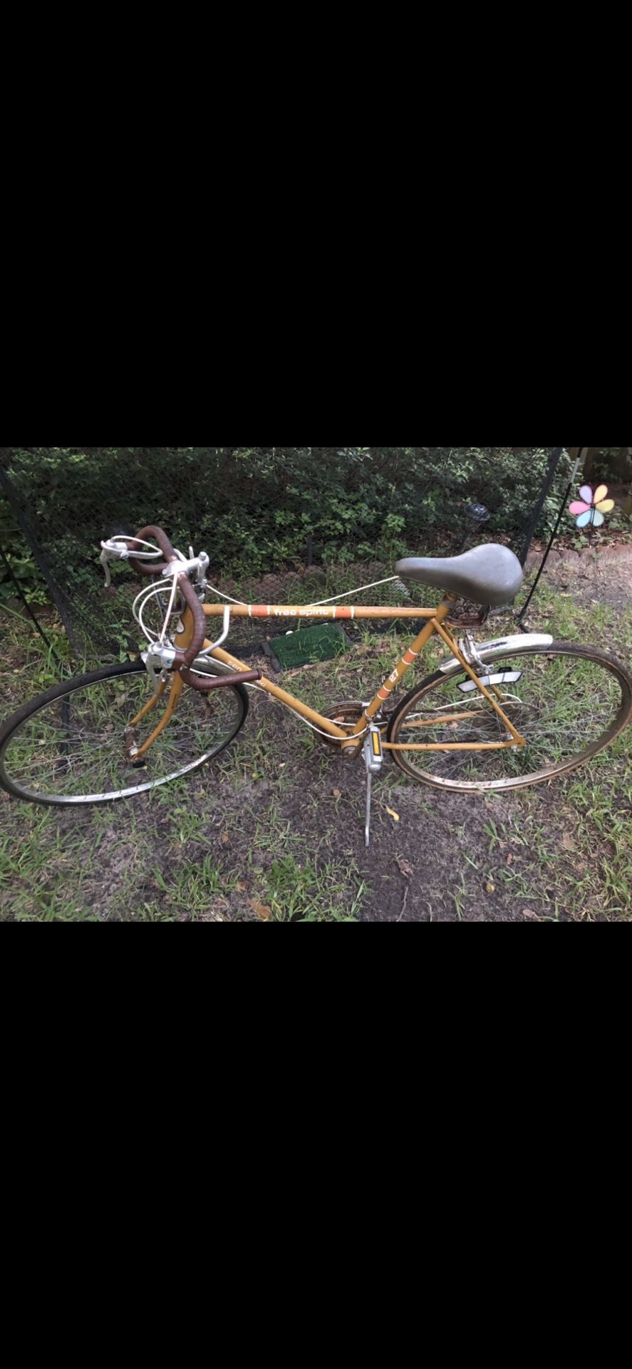 Men and Womens 27 in Free Spirit 10 Speed Collectable Bikes