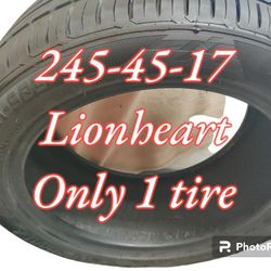245-45-17 Lionheart 