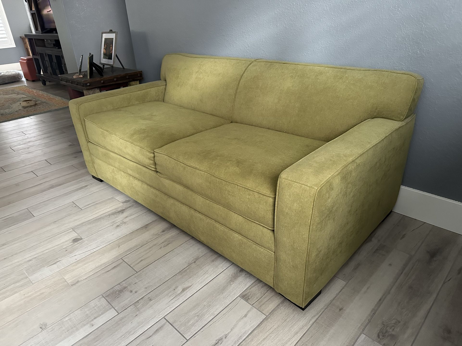 Living Spaces Sleeper Sofa