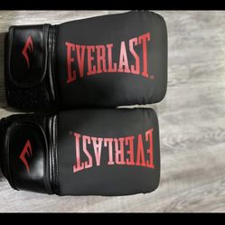 Everlast Gloves