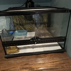 Leopard Gecko Tank 