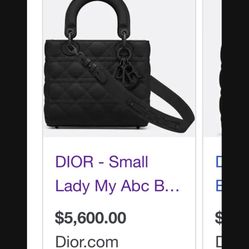 Dior Bag 