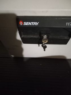 Sentry Gun Safe