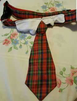 Dog Collar Tie