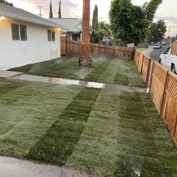 1,000 SF.. Purchase Free Delivery 