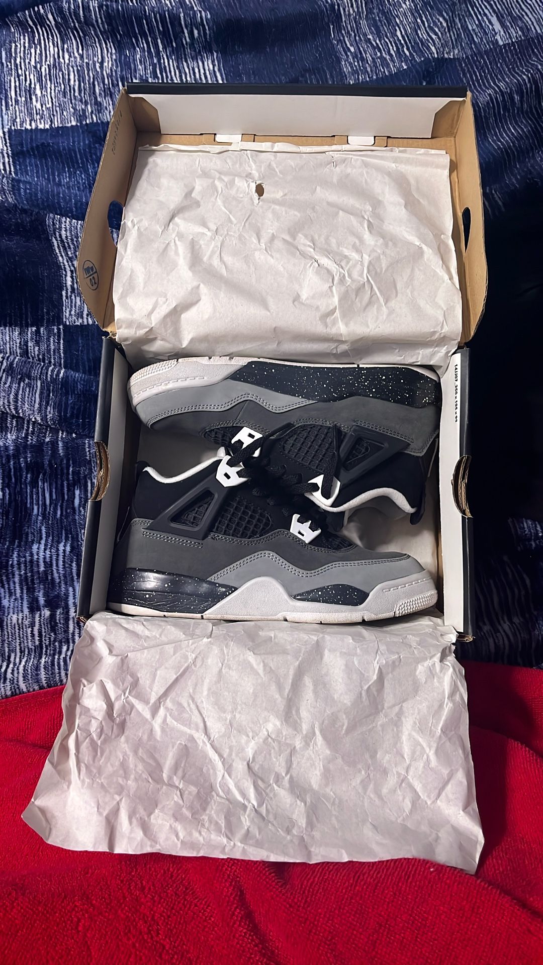 Jordan 4 2 C