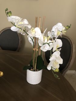 Faux Orchid plant