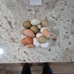 Huevos De Gallina Y Pato