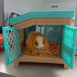Pet hamster toy