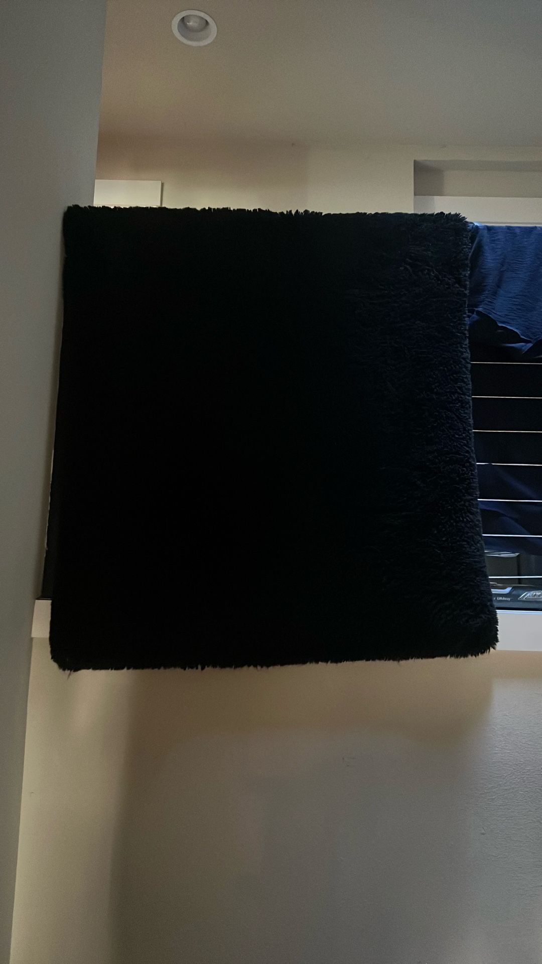 Black Fuzzy Rug