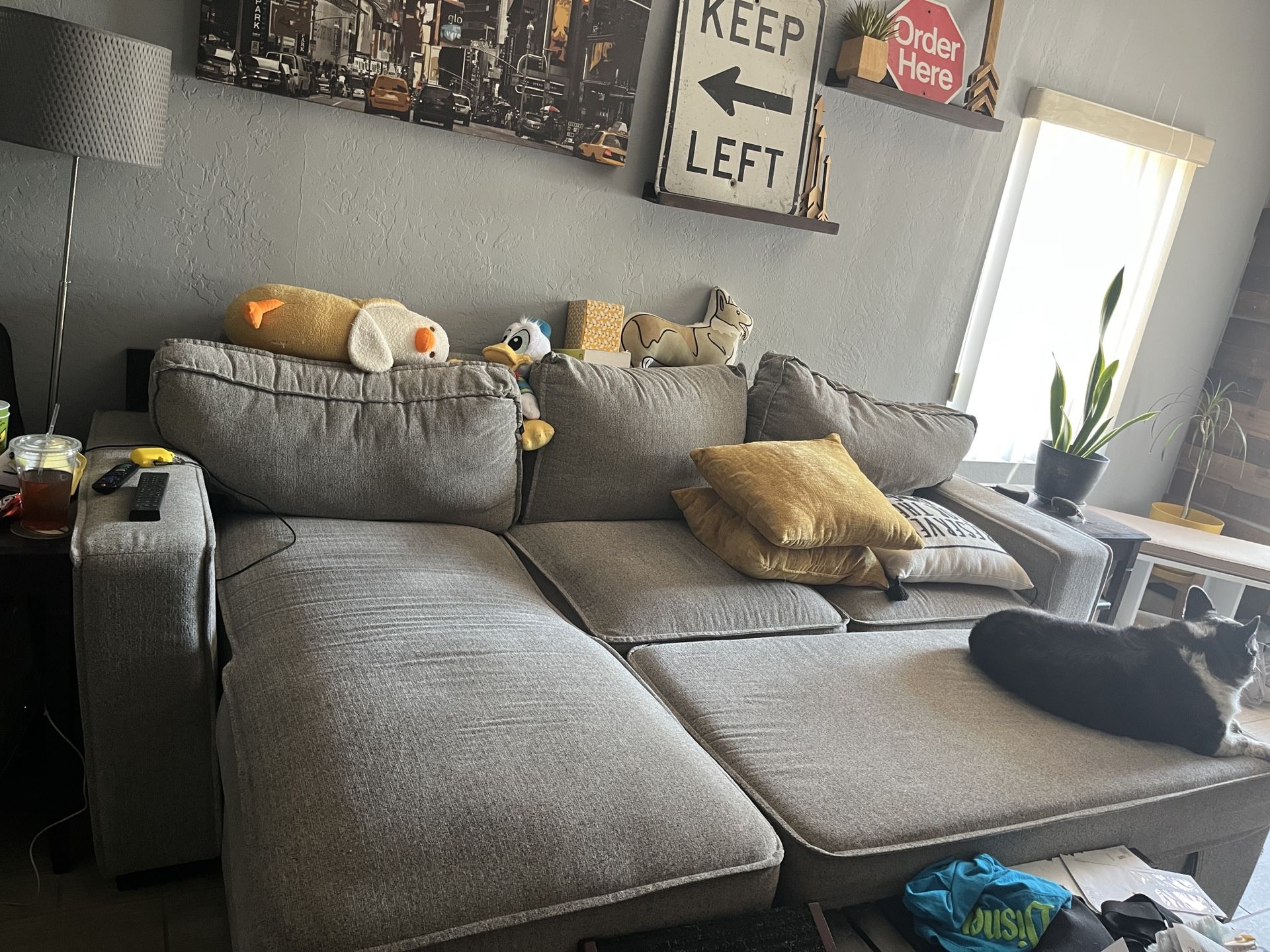 Grey Sleeper Couch With Storage