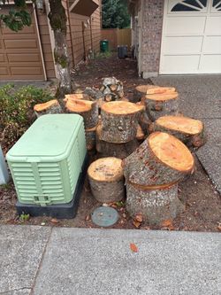 Free wood, Tigard, summer lake area