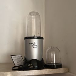 Mini Magic Bullet