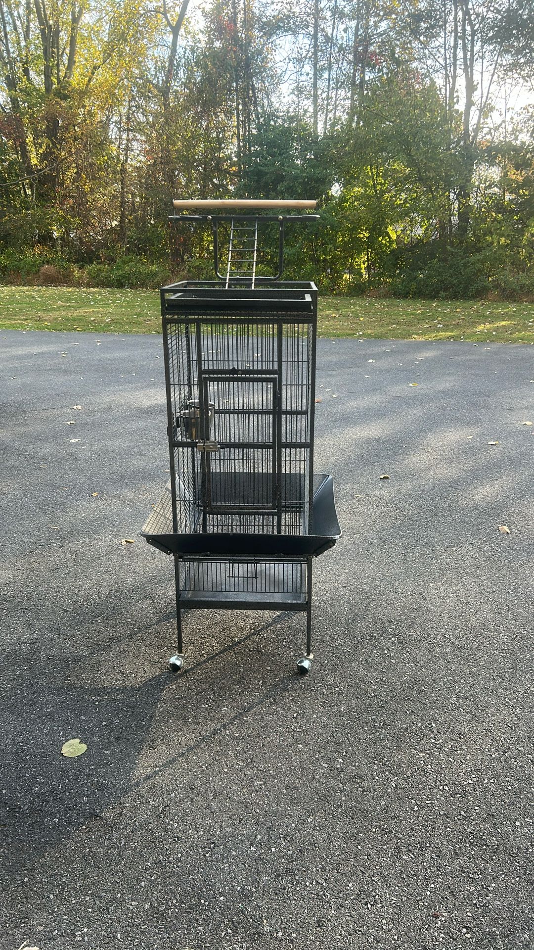 Bird Cage