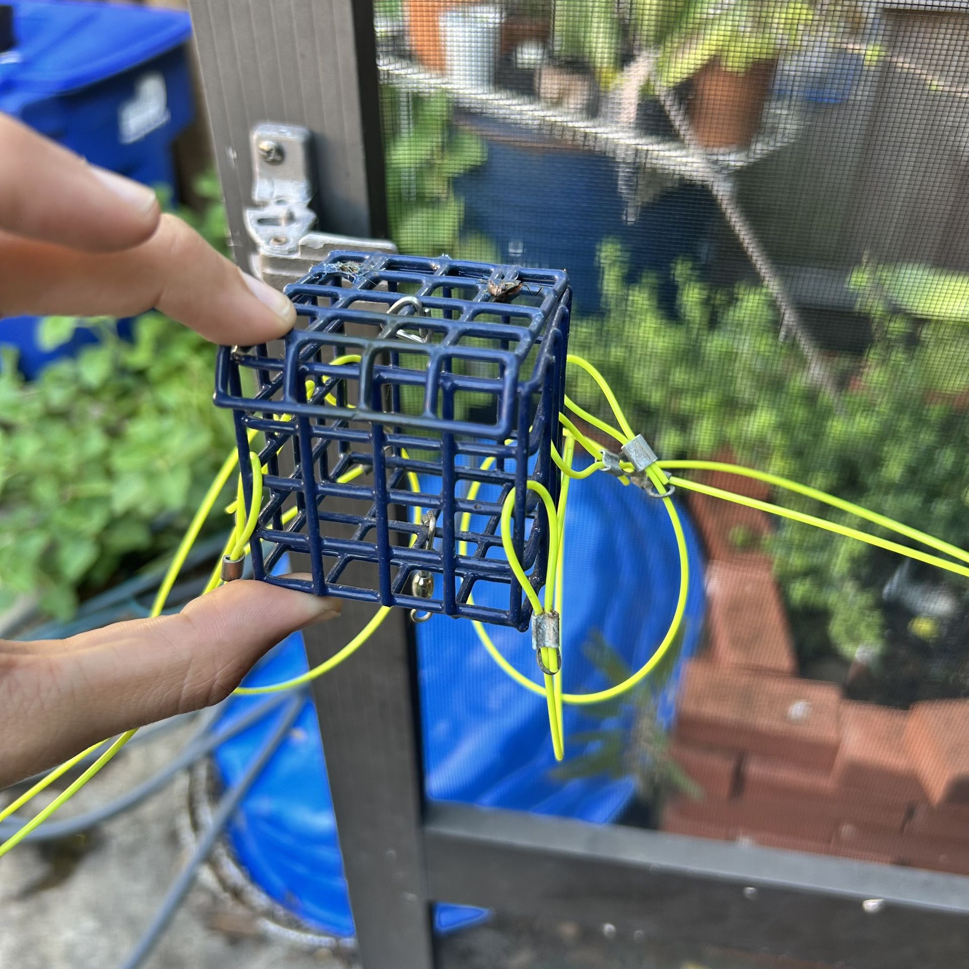 Crab Snare