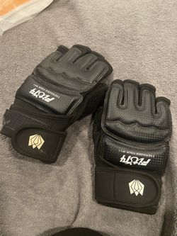 MMA Training/fighting Gloves