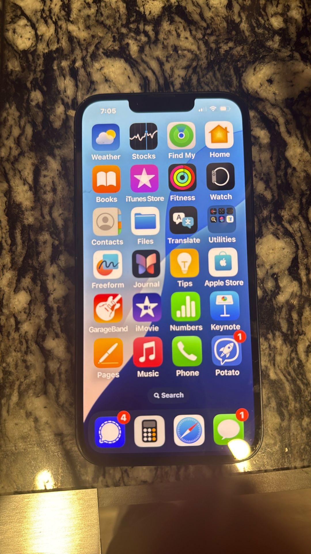 iPhone 13