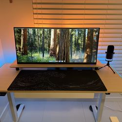 ultrawide monitor + standing desk + extras