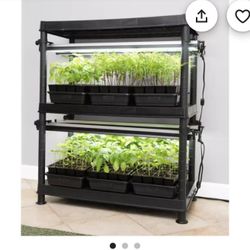 Stack N Grow 