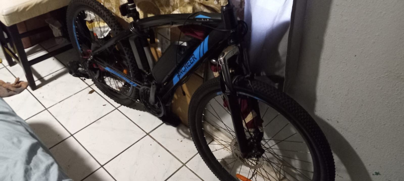 ANCHEER Electric Bike Double Battery