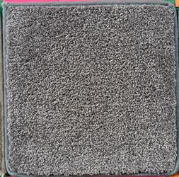 New Carpet