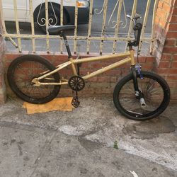 Golden Bike