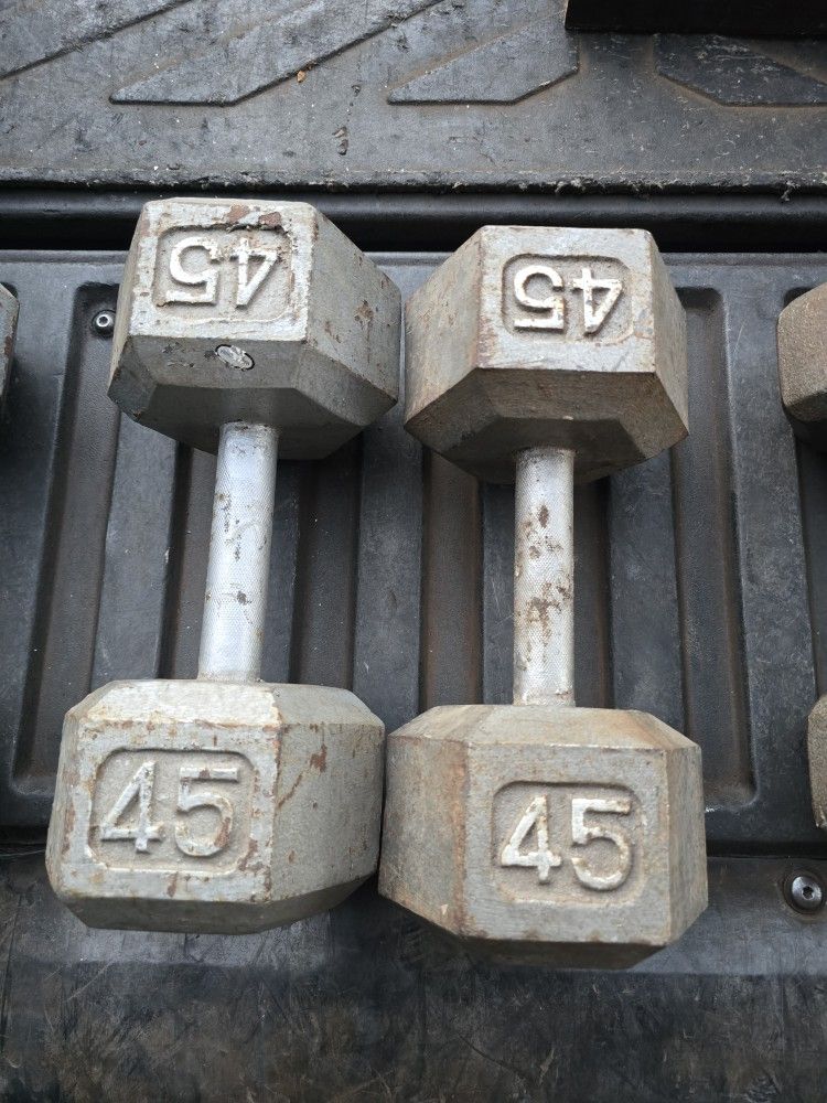 Weight Dumbbells