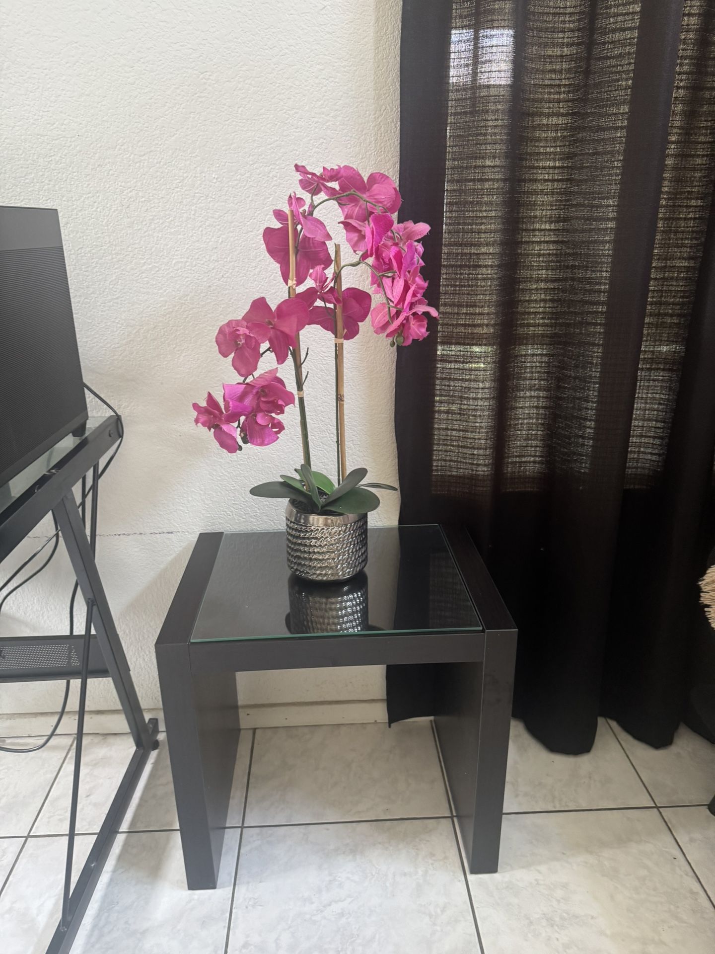 Fake Plant