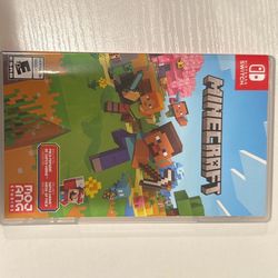 Minecraft Nintendo