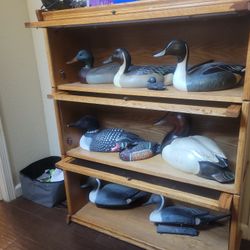 Decoys An Cabinet 