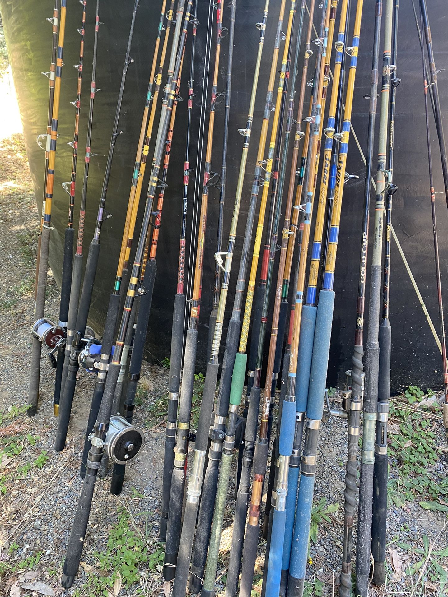 Fishing Poles And Reels