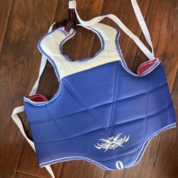 Taekwondo Body Guard 