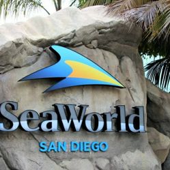 10 SeaWorld Tickets