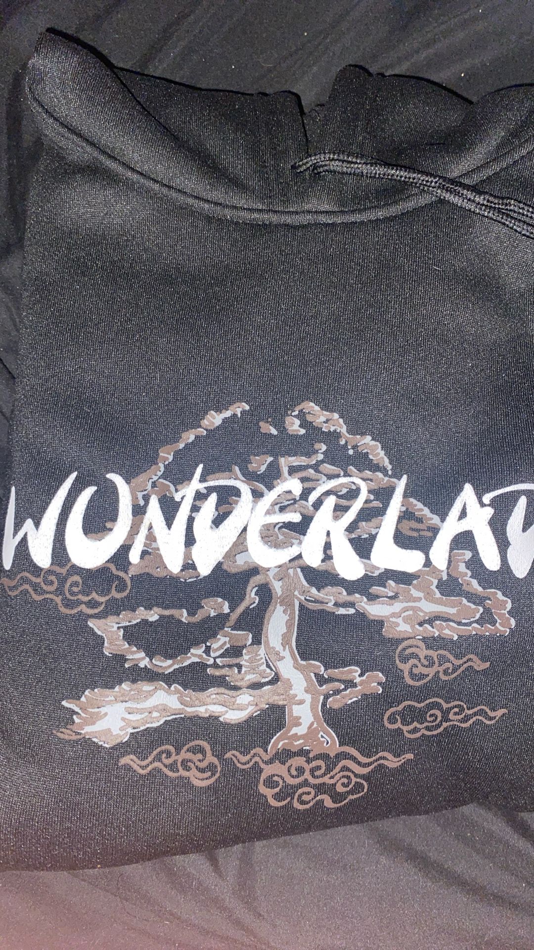 Wonderlad Hoodie Men’s/womans