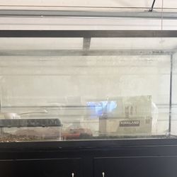 65 Gallon Fish Tank 