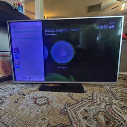 Element TV 55in