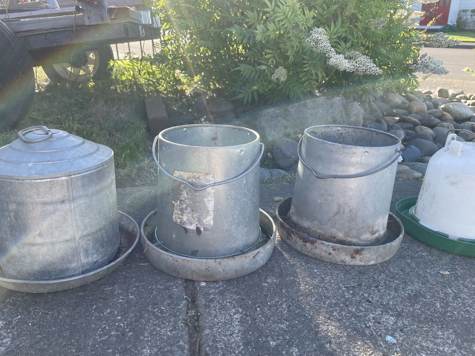 Chicken Feeder $5