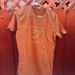 Gym shark Tee